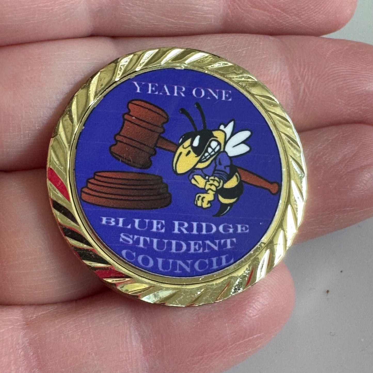 Blue Ridge Student Council Pin Hornet High School Yellowjackets High School