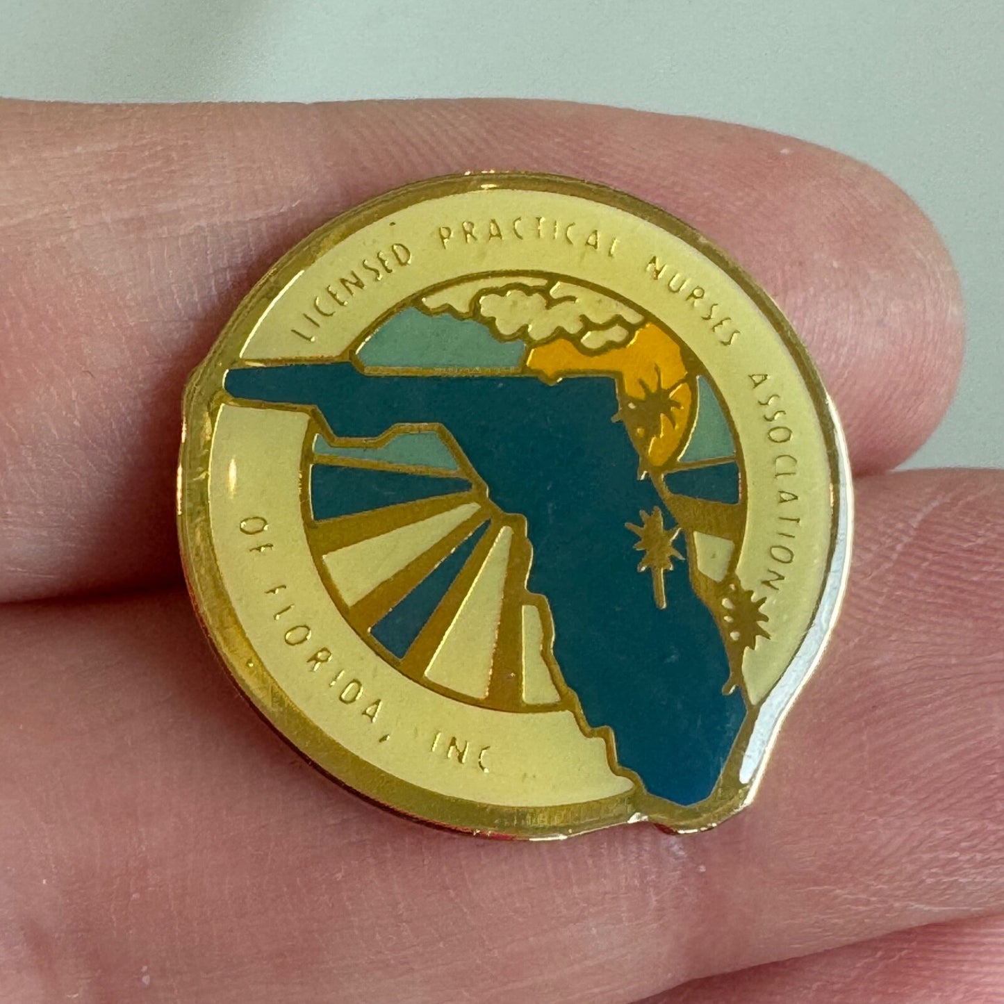 Vtg Licensed Practical Nurses Association of Florida Enamel Pin Healthcare Badge