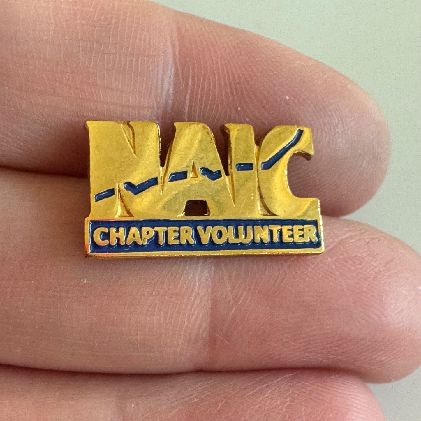 Vtg National Association of Investment Clubs NAIC Chapter Volunteer Lapel Pin
