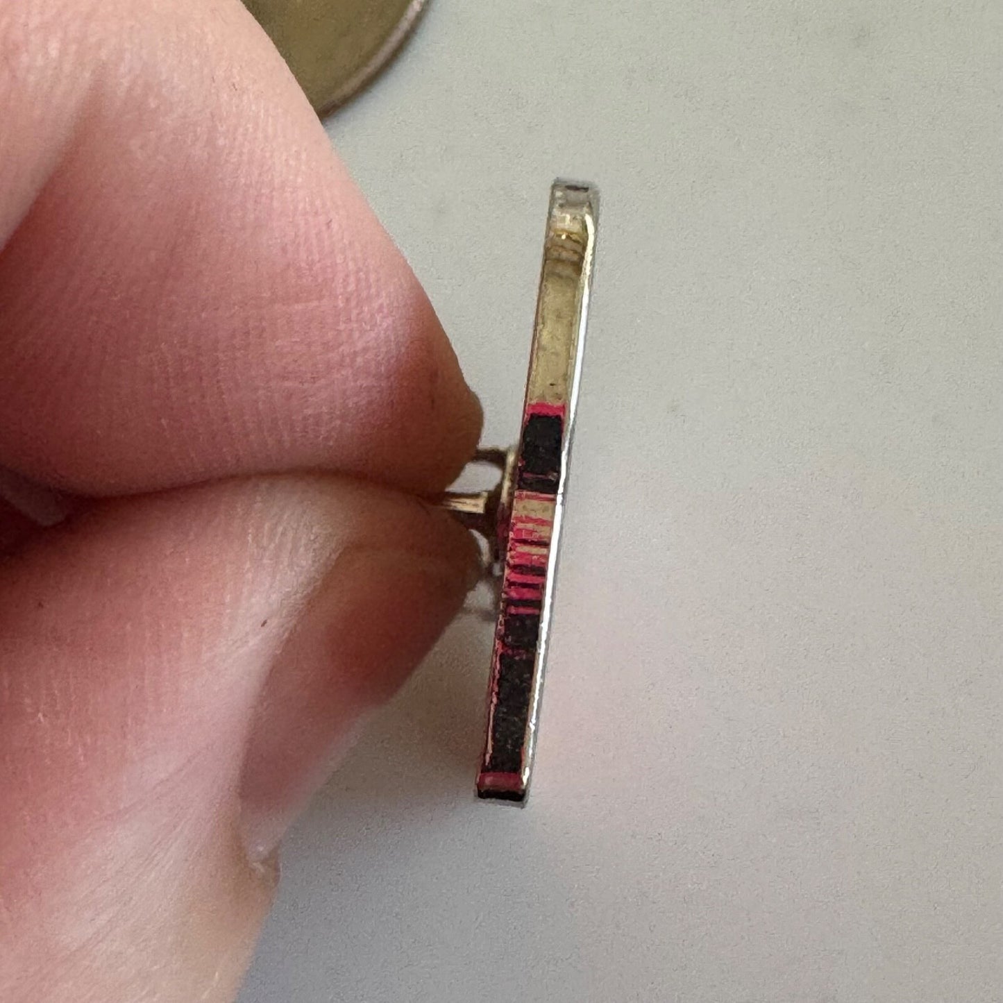 Inspect to Protect Clemson University Invasive Species Lapel Pin RARE