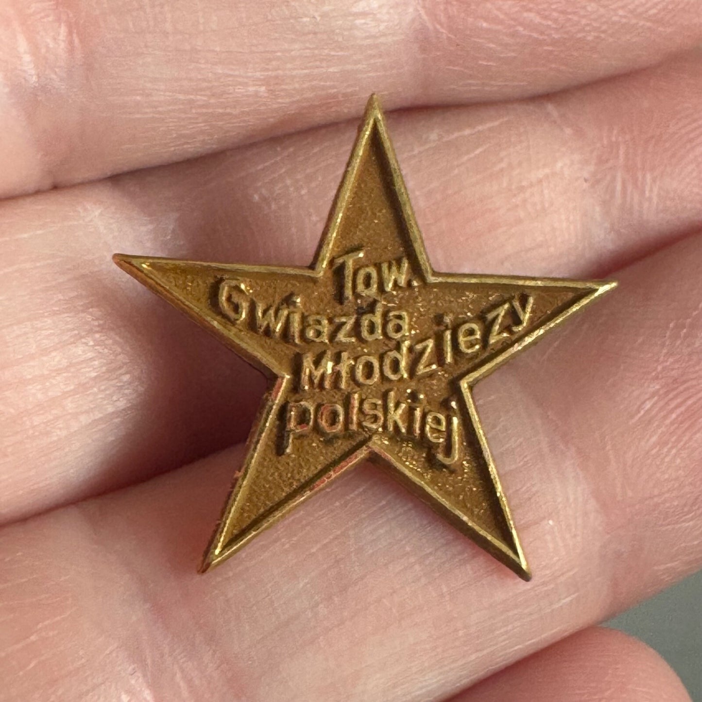 ANTIQUE STAR OF POLISH YOUTH SOCIETY PIN-GWIAZDA MLODZIEZY POLSKIEJ LODGE RARE