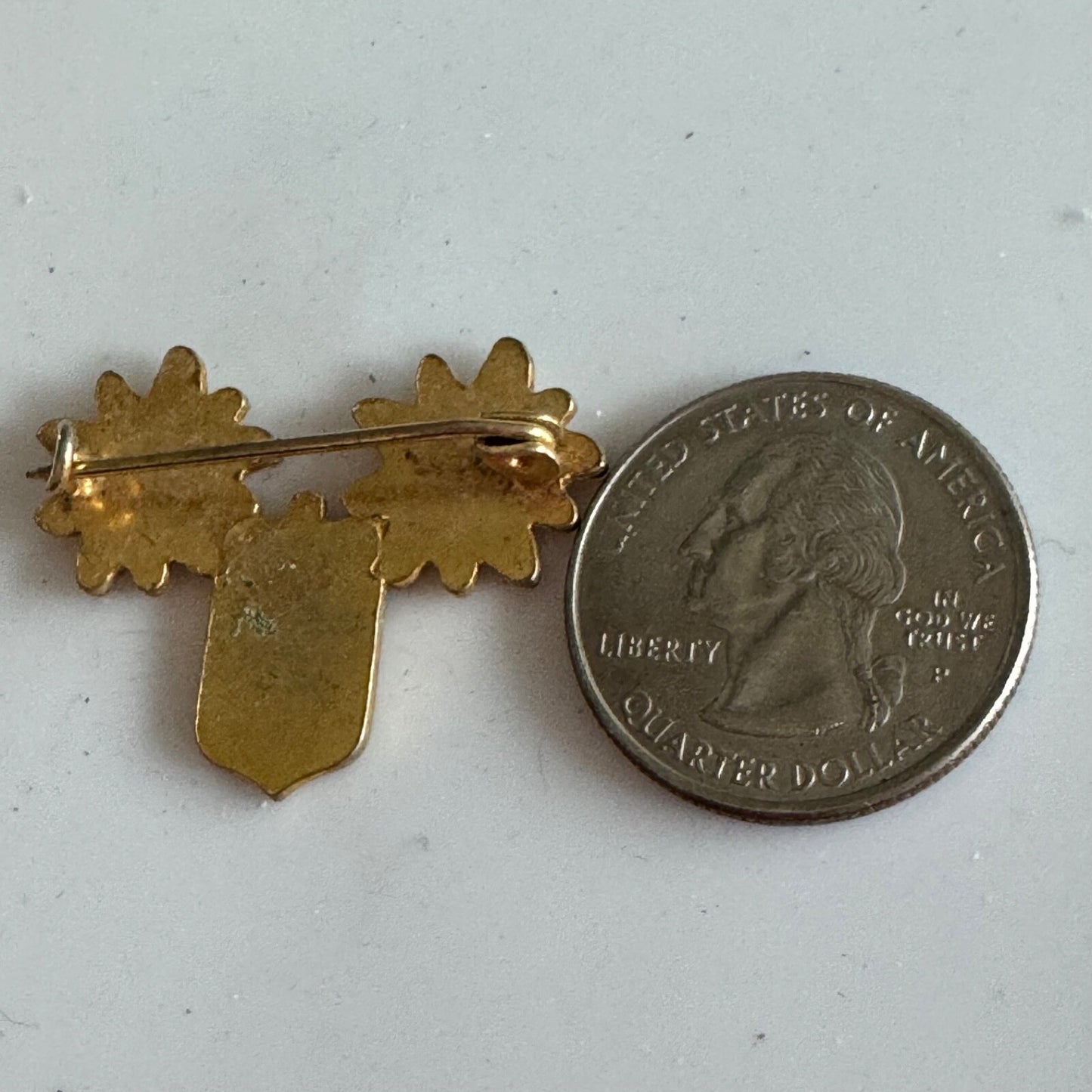 Vintage Liechtenstein Edelweiss Crest Enamel Travel Pin