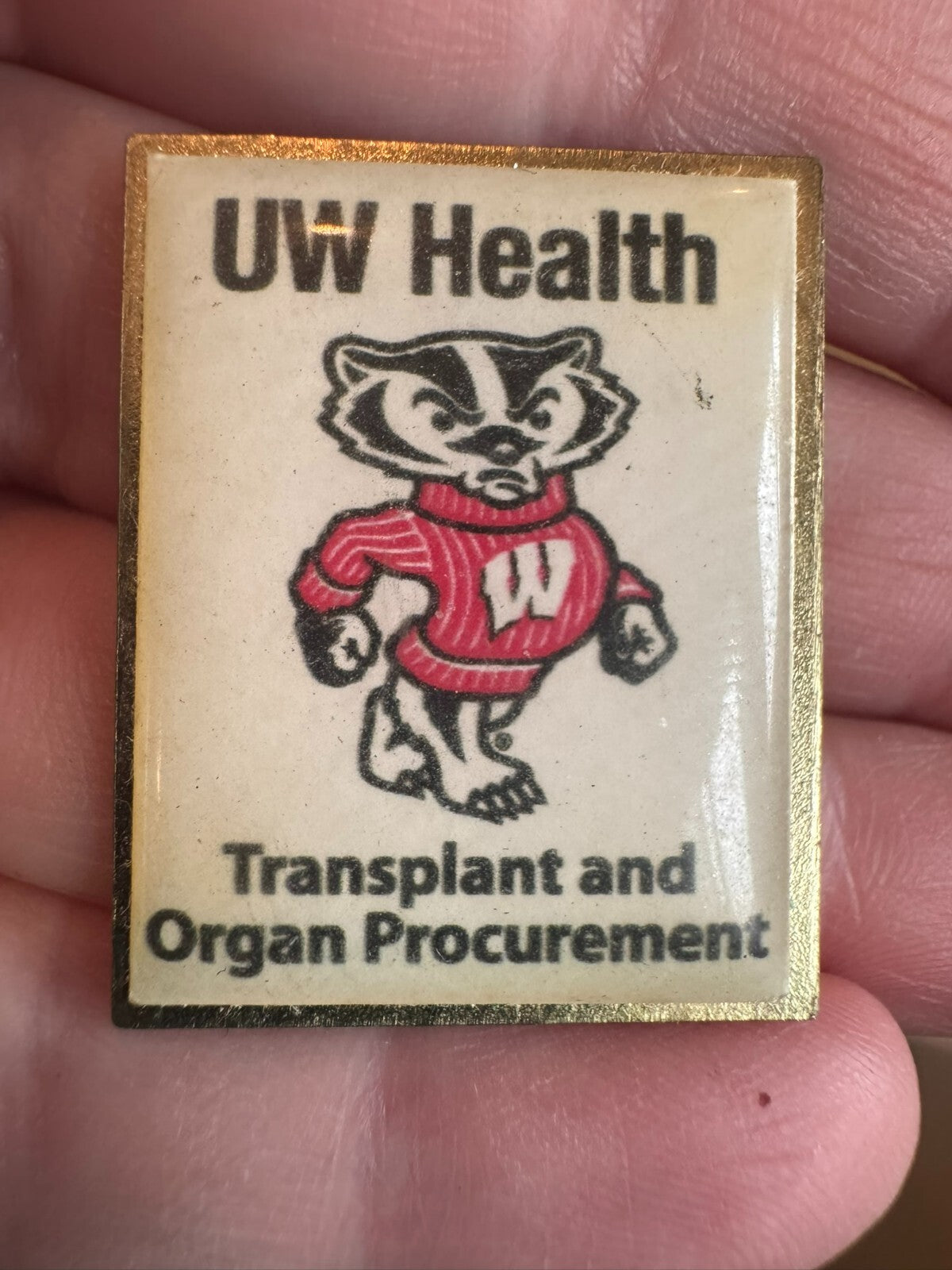 Vintage University of Wisconsin Health Transplant and Organ Procurement Pin UW