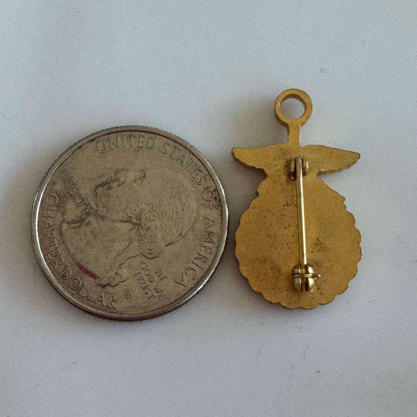 Vintage State FFA Degree Key Pin Vocational Agriculture