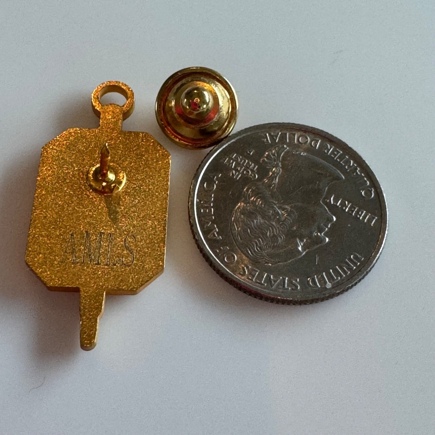 Vintage Phi Lambda Sigma Pharmacy Honor Society Lapel Pin Key