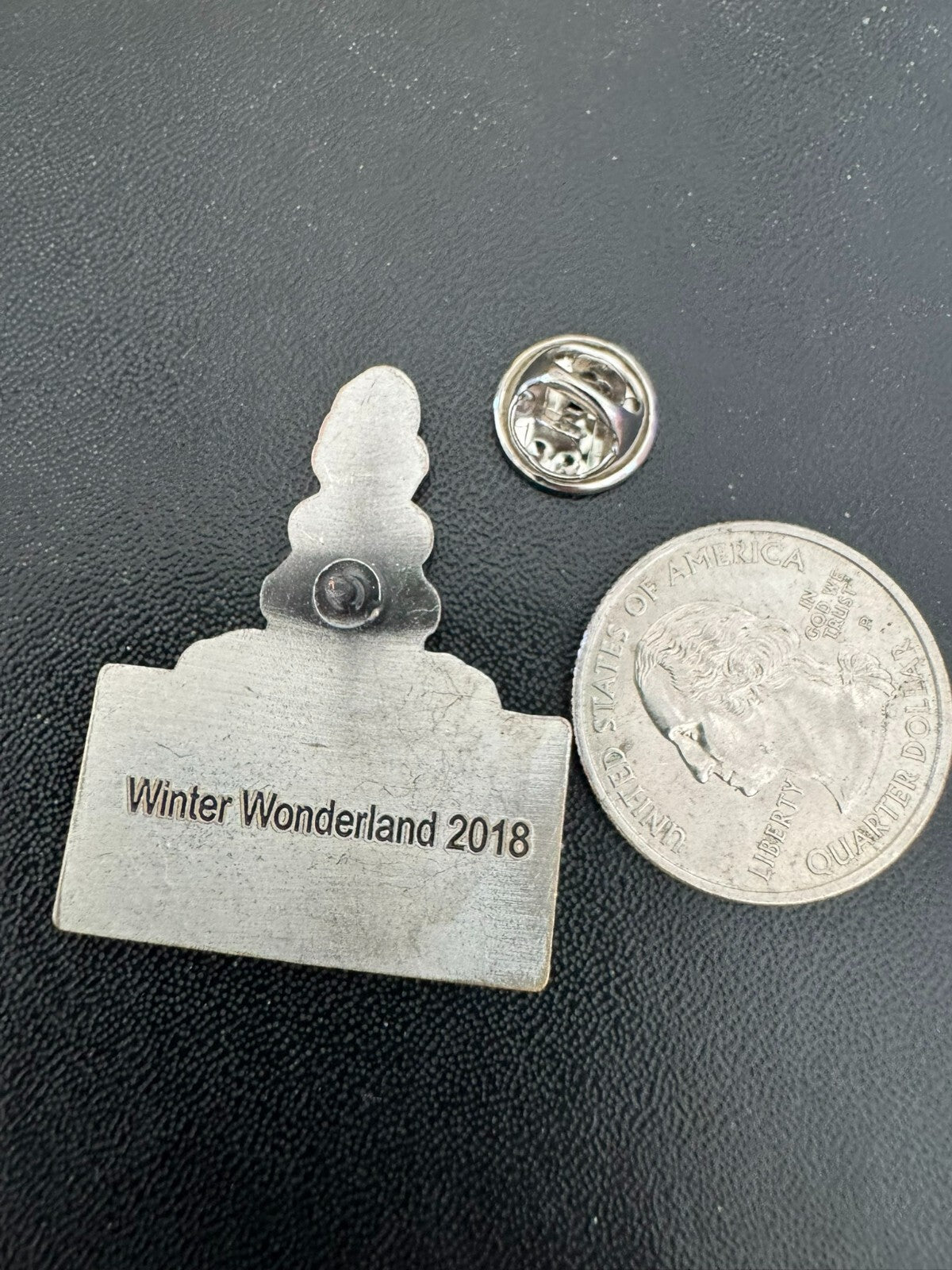 2018 Reston Town Center Souvenir Lapel Pin Winter Wonderland - Very Nice!