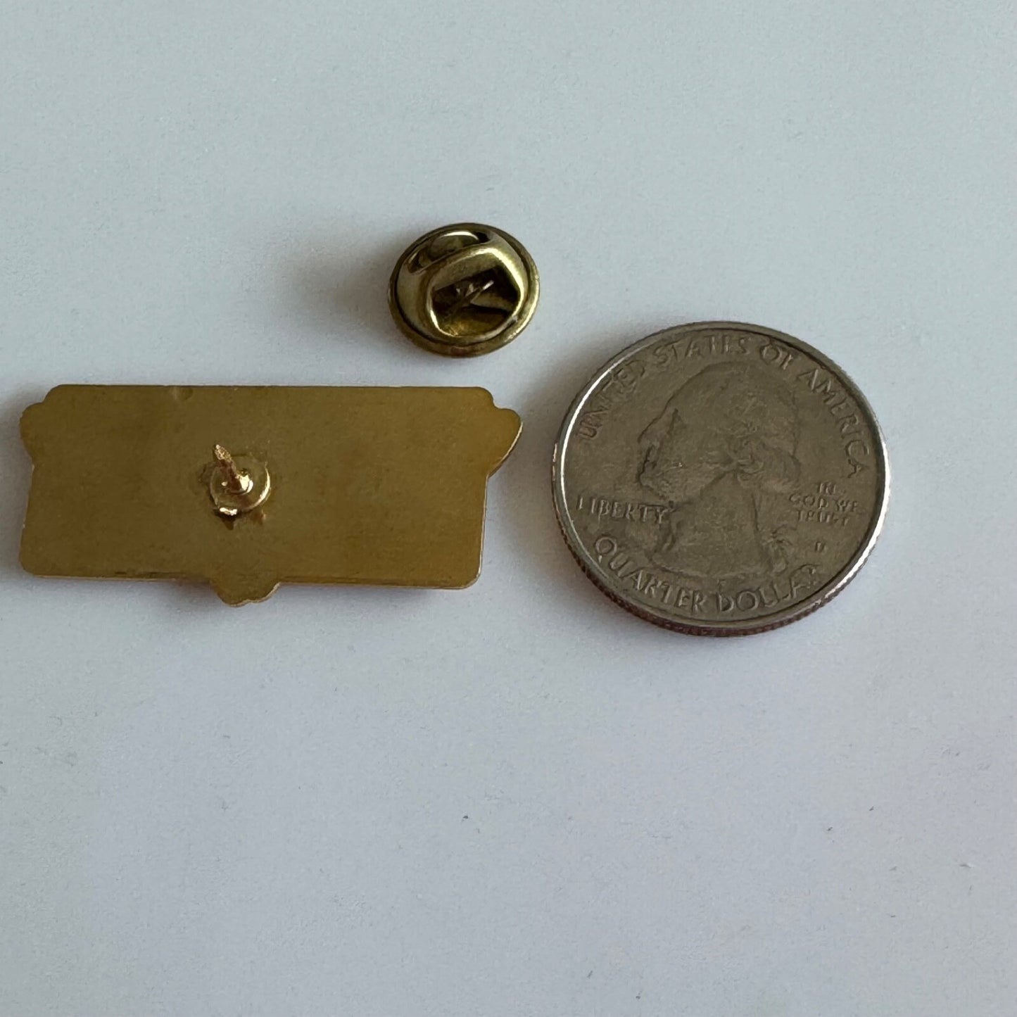 Vintage Texas Longhorn Cattle Souvenir Tourist Lapel Pin