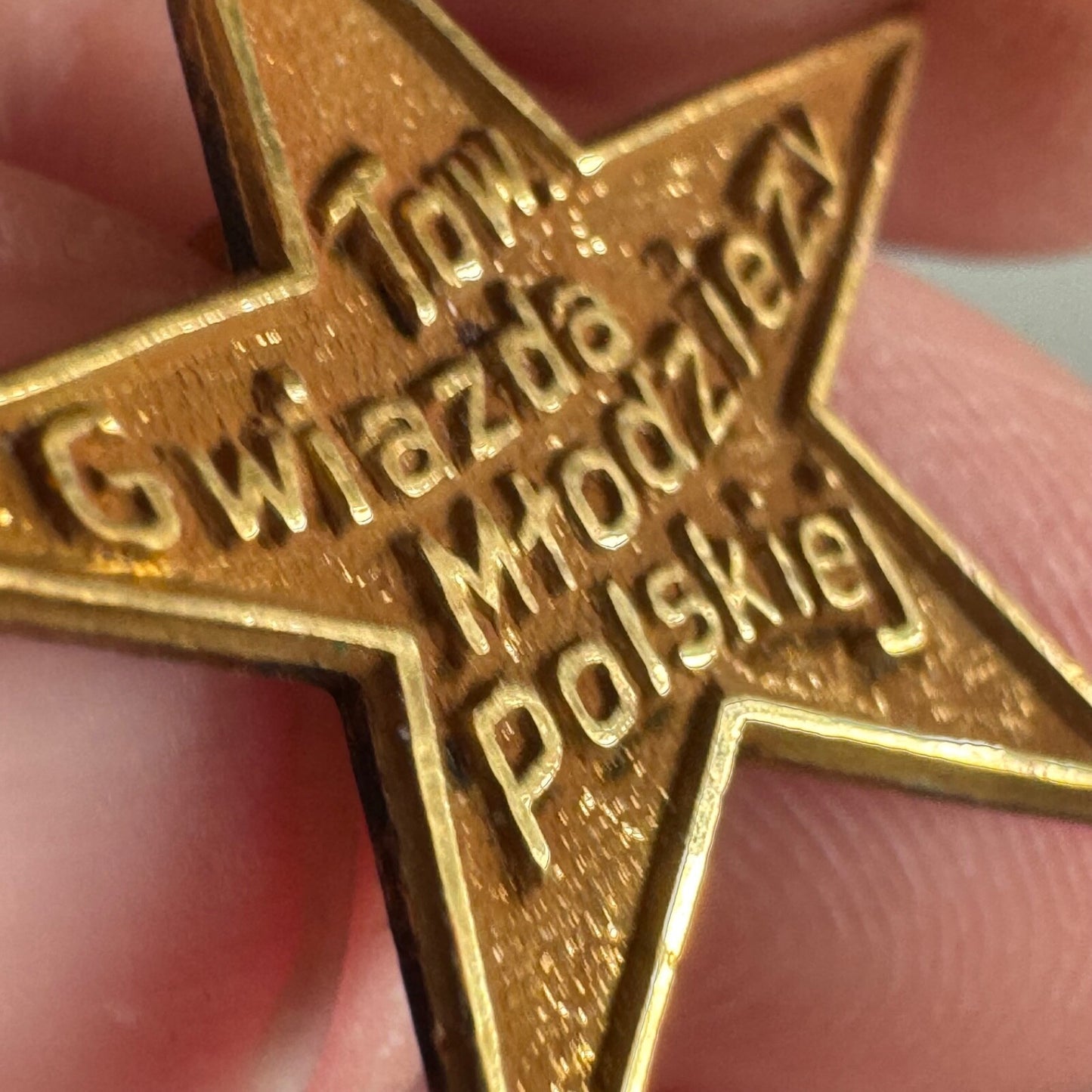 ANTIQUE STAR OF POLISH YOUTH SOCIETY PIN-GWIAZDA MLODZIEZY POLSKIEJ LODGE RARE