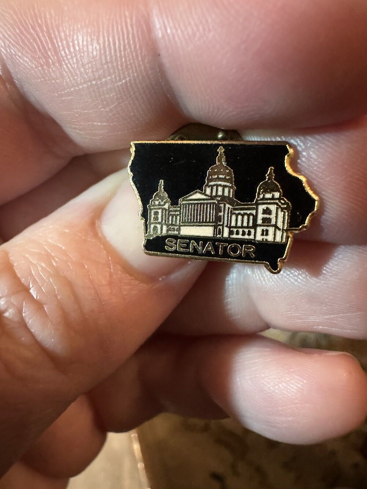 Vintage Iowa State Senator Lapel Pin Black Gold