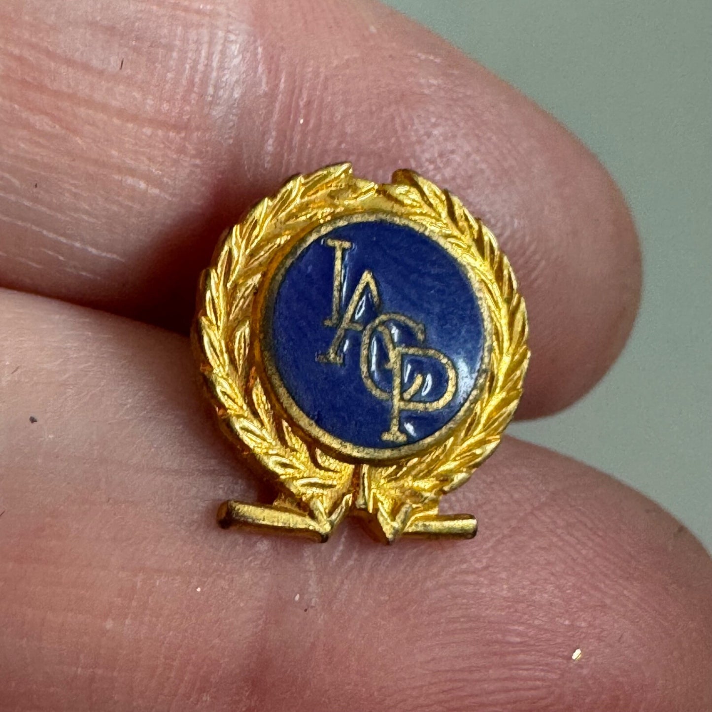 Vtg International Association Of Chiefs Of Police Pin IACP Screwback Lapel Pin