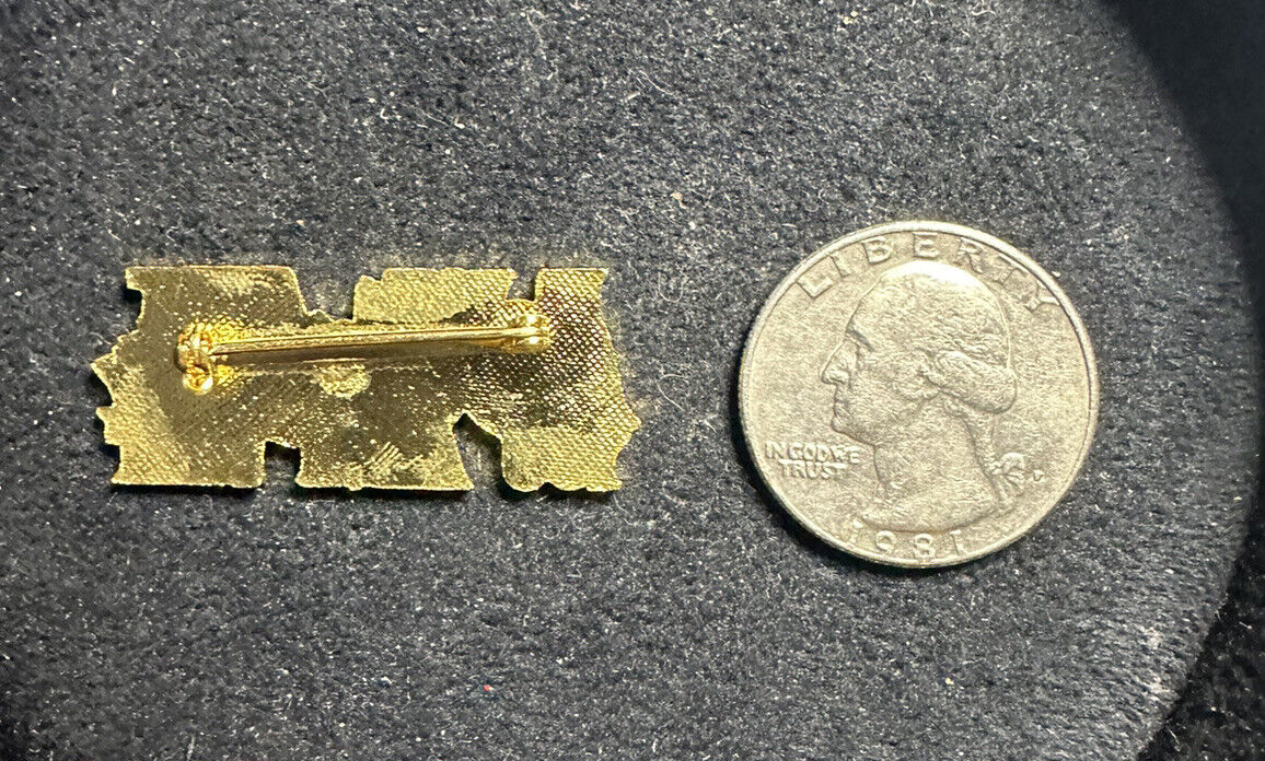 Vintage UMW "IF YOU AIN'T A COAL MINER YOU AIN'T S**T" Gold Tone Pin