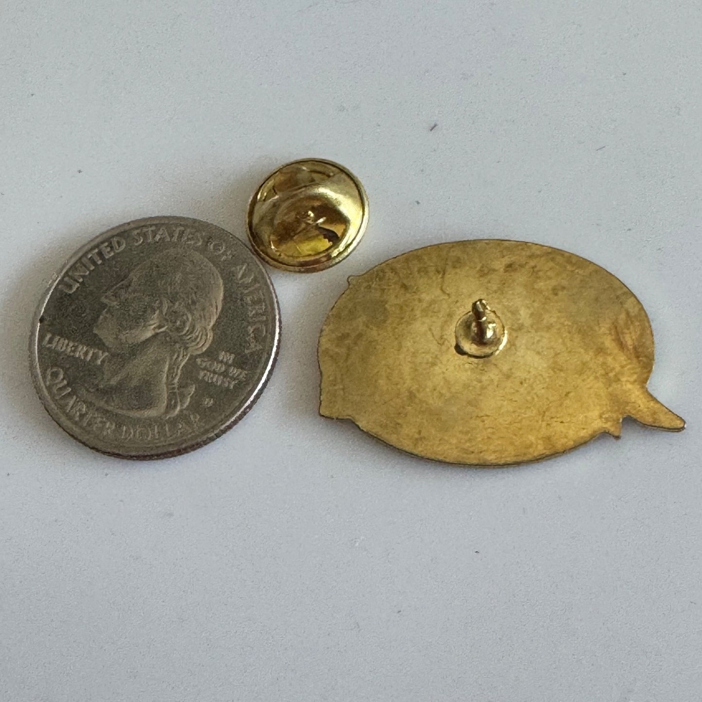 Vtg Thunder Bay Ontario Canada Map Lapel Pin Superior by Nature Green