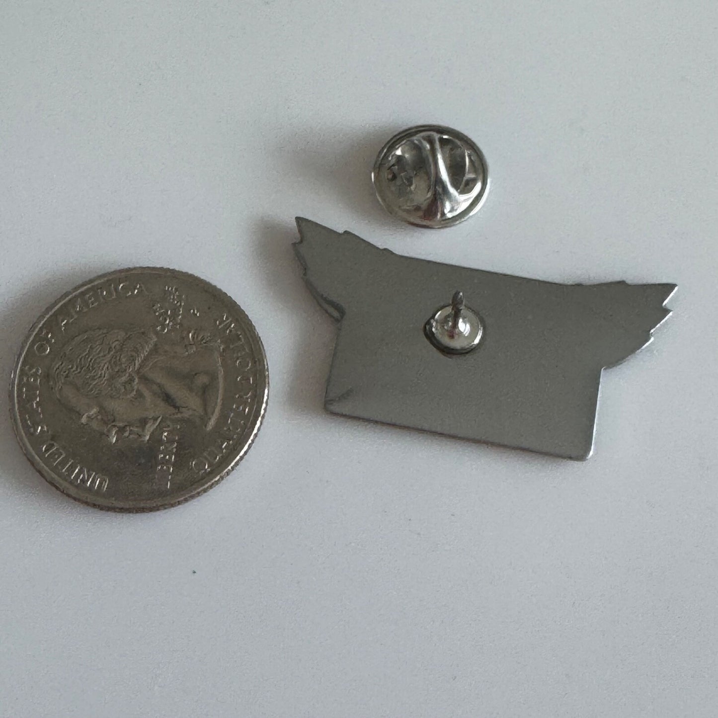 2010 Sno-Eagles Eagle River Wisconsin Lapel Pin