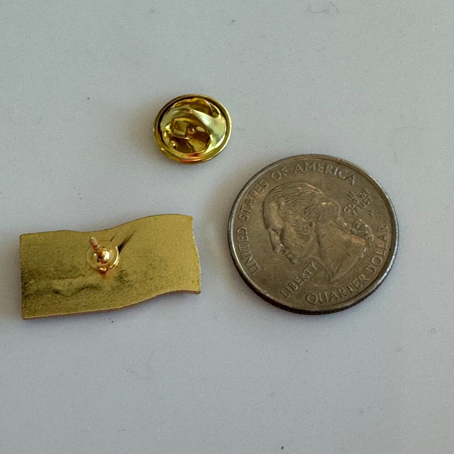 Troops to Teachers USA Flag & Apple Pin – Military to Education Program