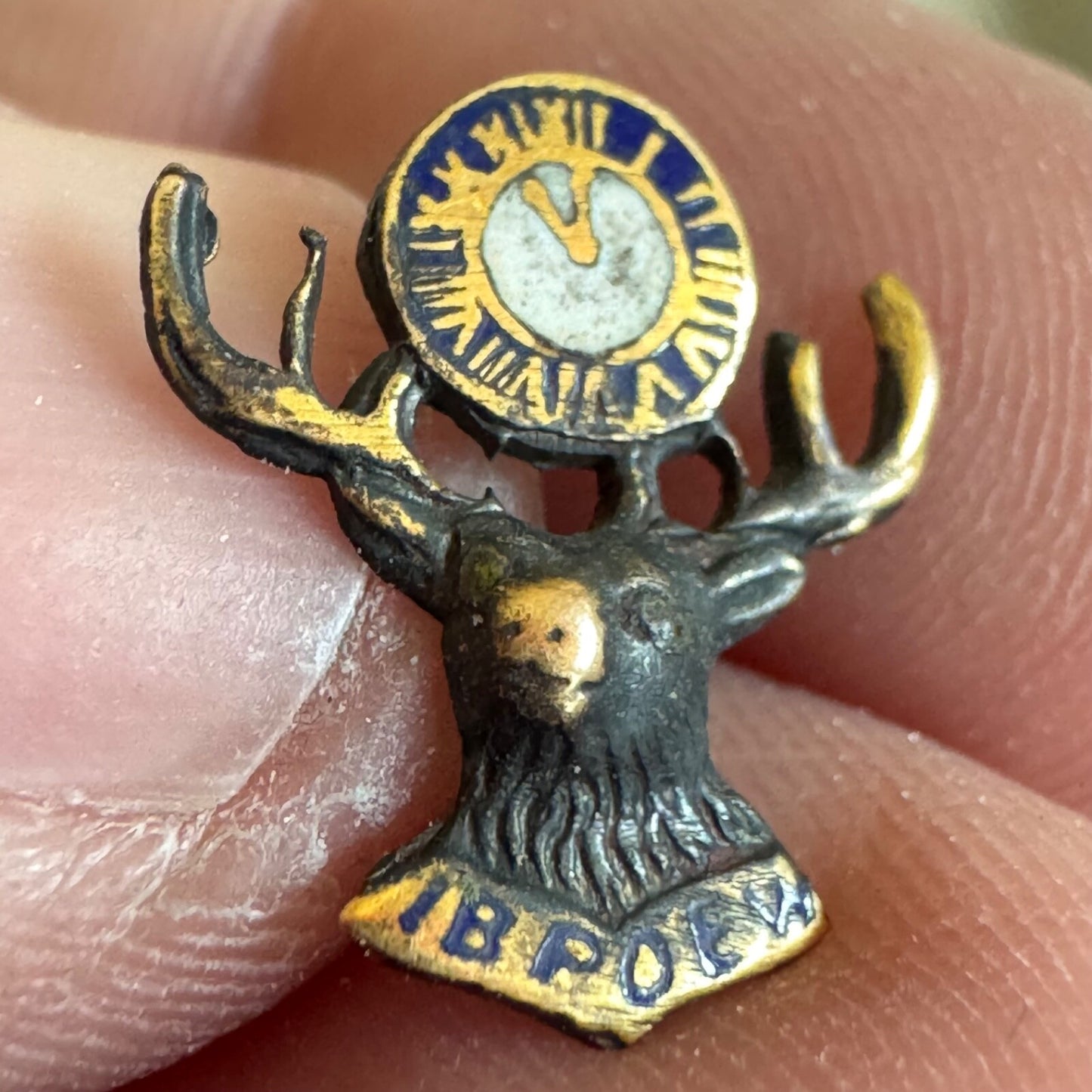 Vtg IBPOEW Screwback Member Lapel Pin Improved Benevolent Order of Elks