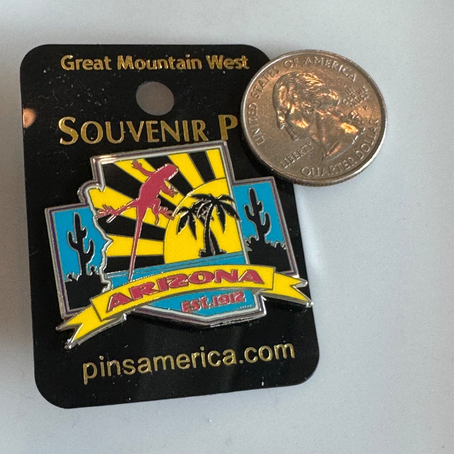 Arizona Est. 1912 Souvenir Lizard Cactus Sun Travel Pin New on Card