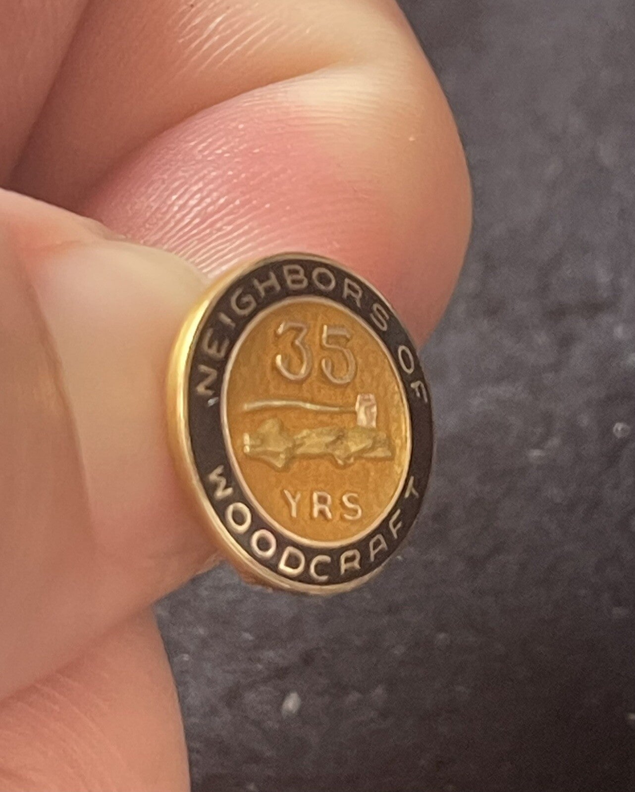 Vintage Neighbors Of Woodcraft 35 Years Service Lapel Pin Gold Fill