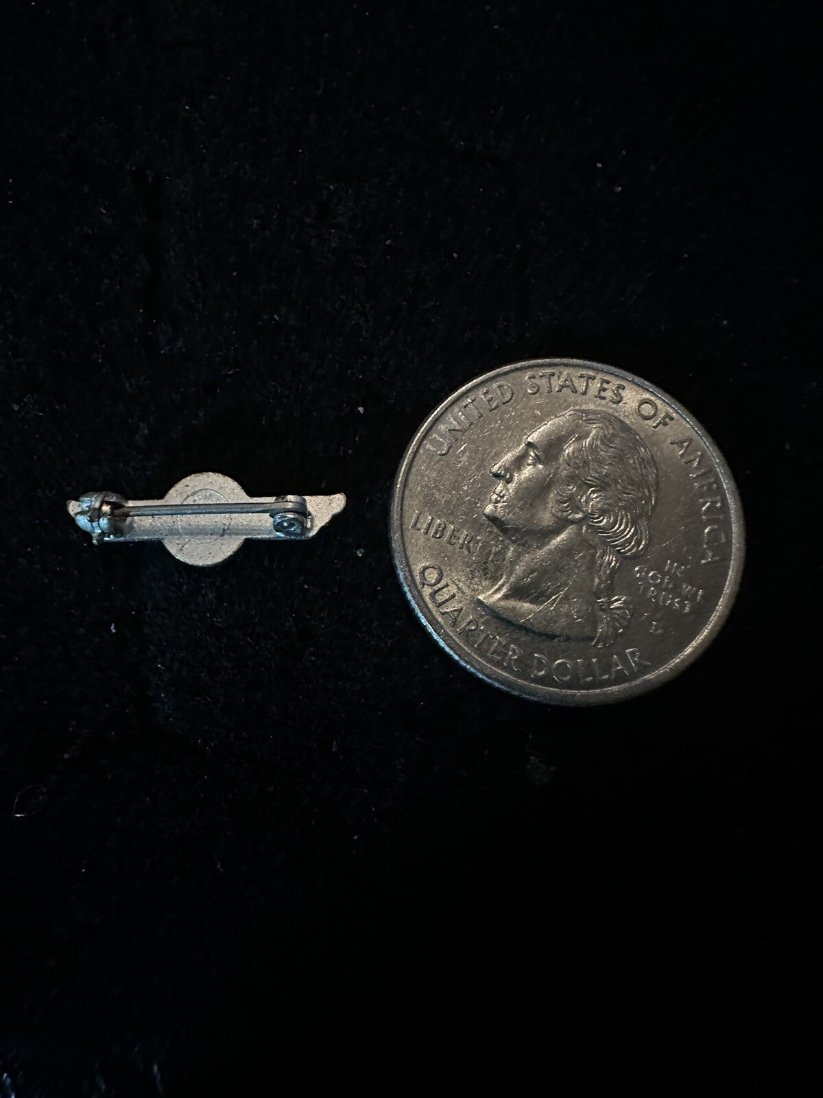 ALSSA Air Line Stewards and Stewardesses Association Union Small Lapel Pin