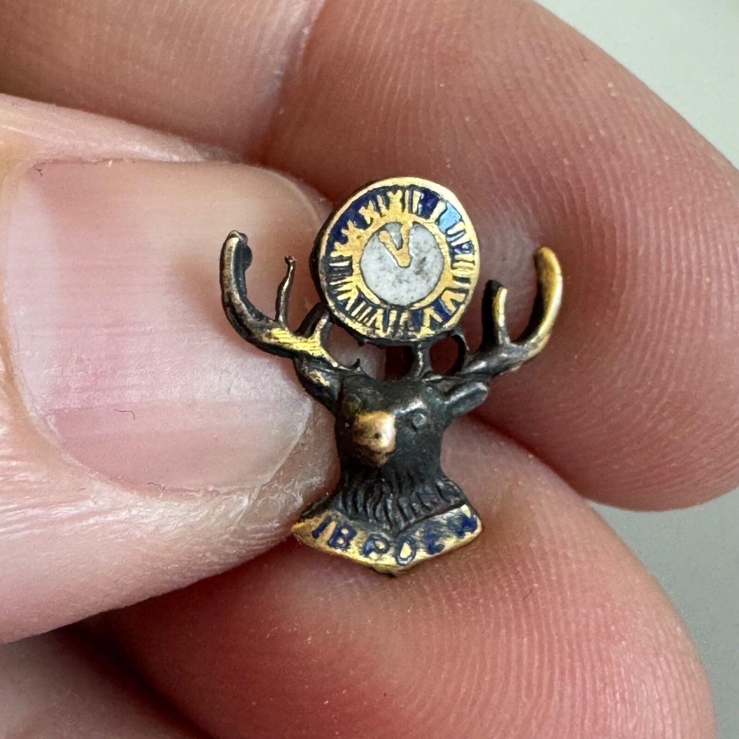 Vtg IBPOEW Screwback Member Lapel Pin Improved Benevolent Order of Elks