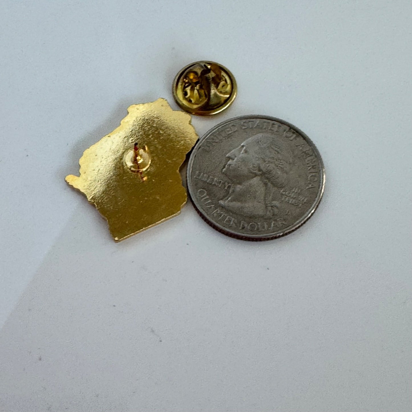 Wisconsin Badger Chapter American Red Cross Volunteer Enamel Pin State Shaped