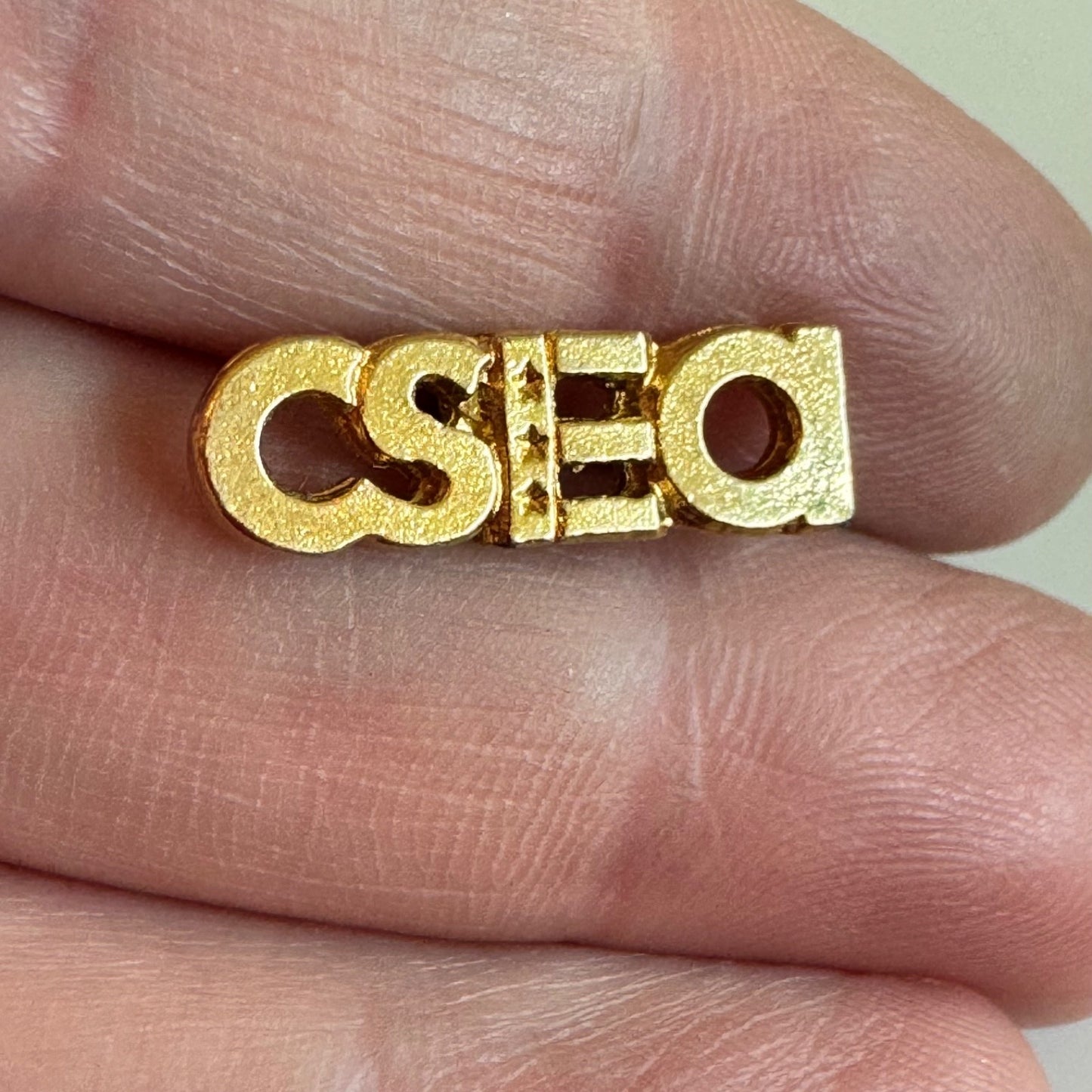 Vintage California State Employees Association CSEA Gold Tone Pin Tie Tack