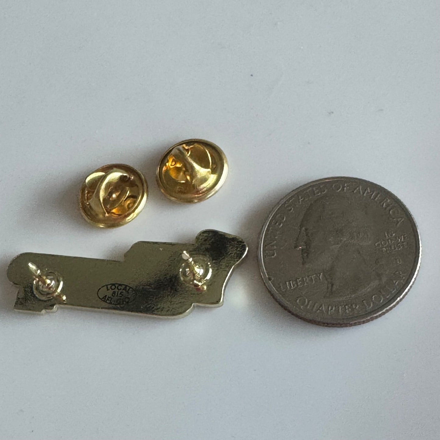 PASNAP Pennsylvania Association of Staff Nurses Allied Professionals Pin Union
