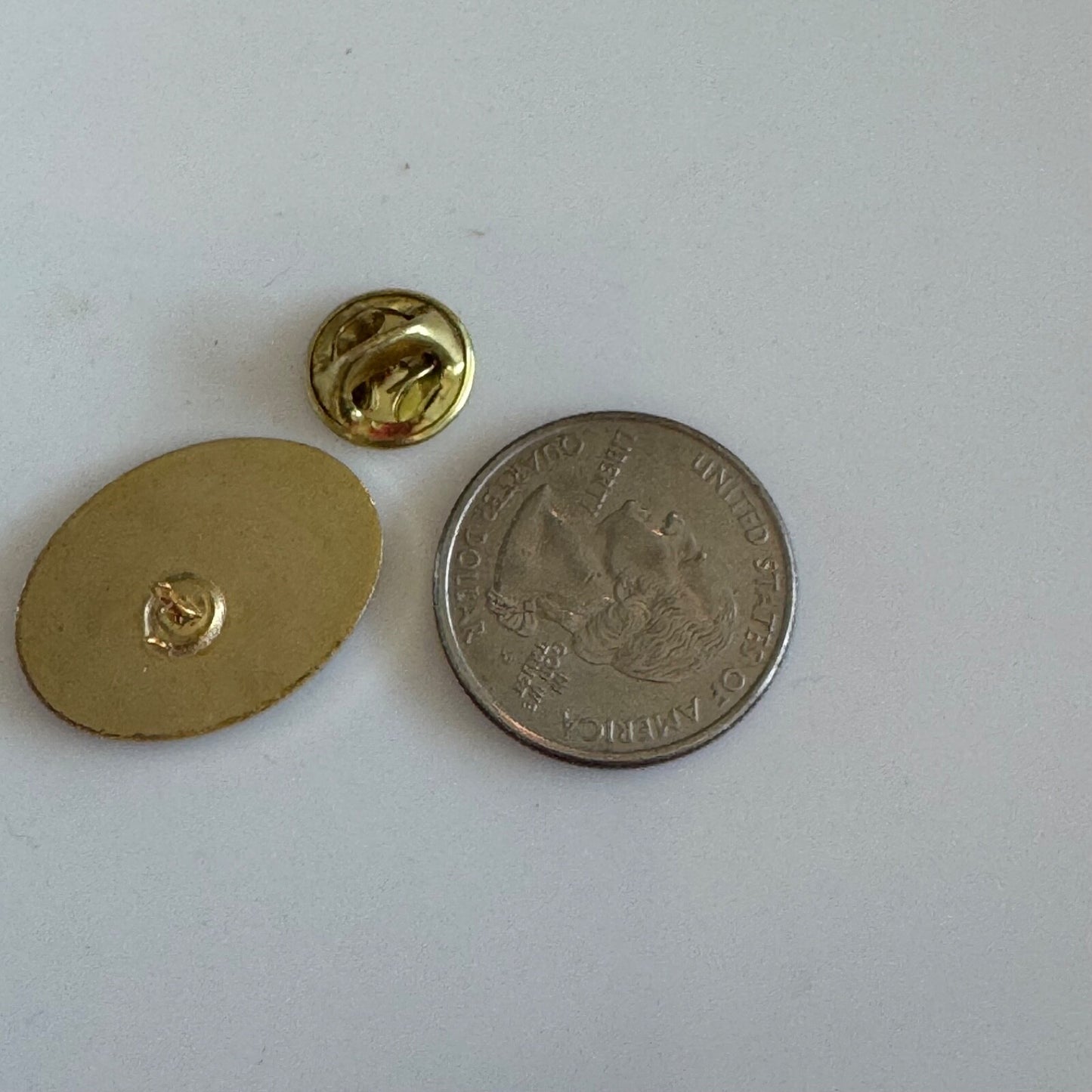 Vintage Peninsula Fuchsia Society Lapel Pin Washington State Rare Flowers Garden
