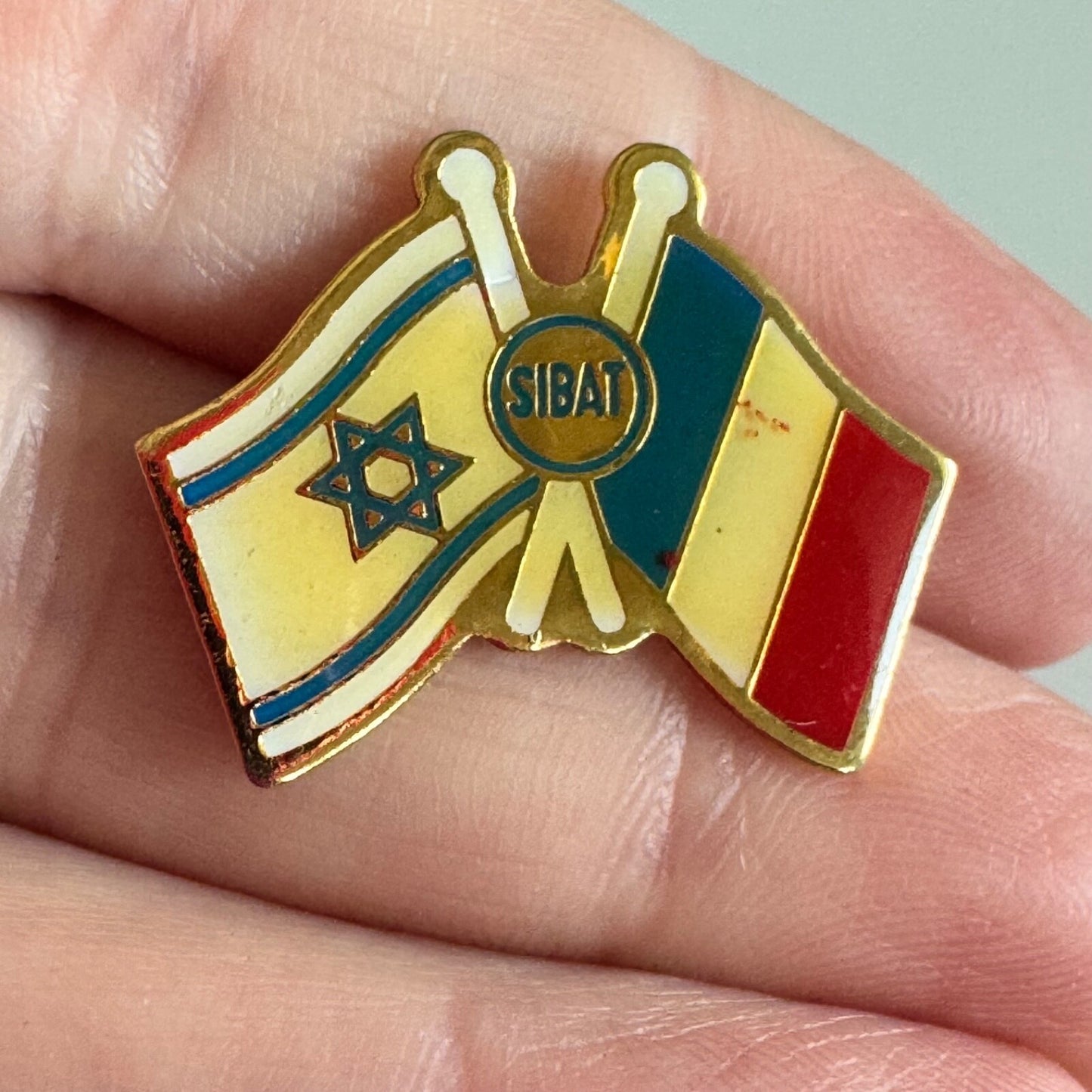 Vtg Israel France SIBAT Flag Pin International Defense Cooperation Directorate