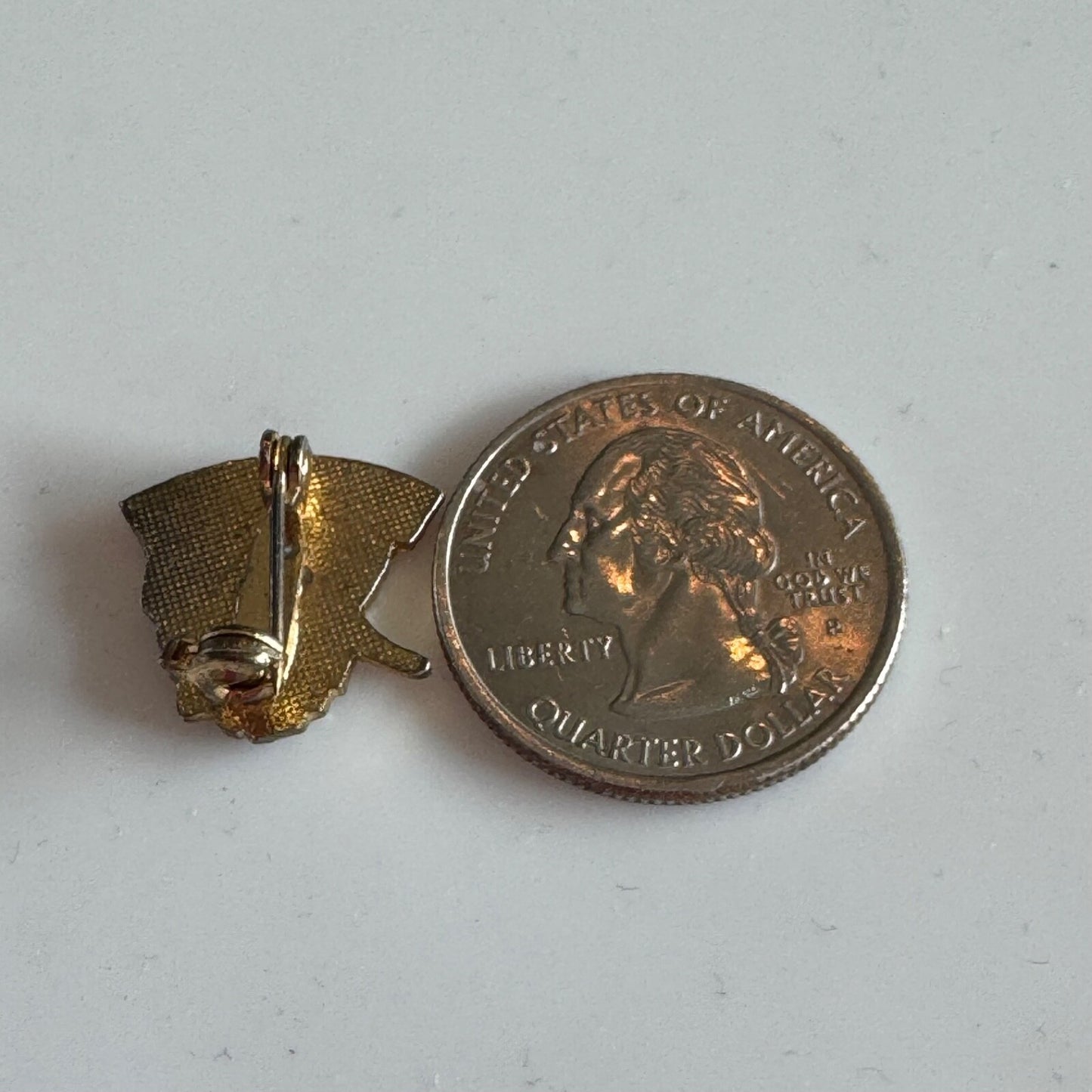 Vintage Tasmania Souvenir Tourist Lapel Pin Australia