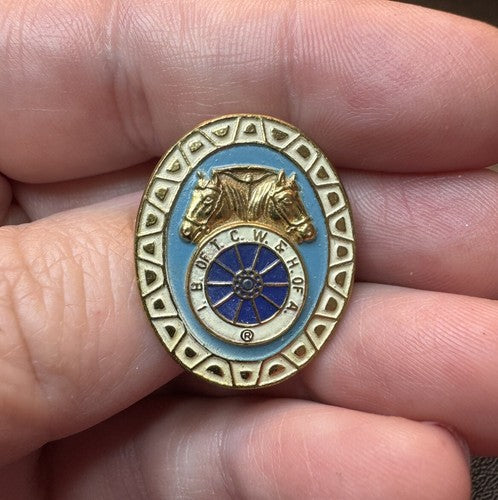 Teamsters Union Metal Lapel Pin LU LOCAL UNIONS 