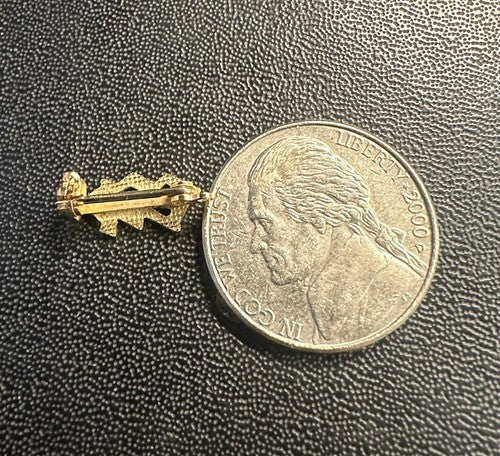 EΣΑ Epsilon Sigma Alpha Greek Letter Fraternity Lapel Pin Tie Tack