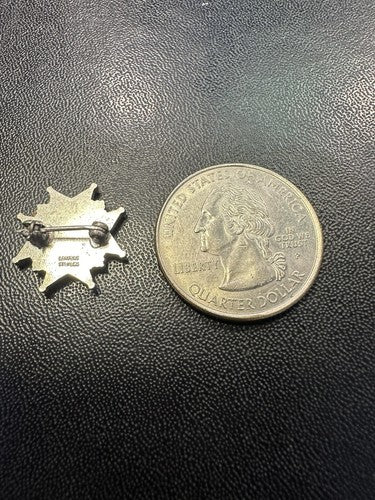 VINTAGE MASONIC POG PROVINCIAL OLD GUARD LAPEL PIN 10 YEAR STERLING SILVER
