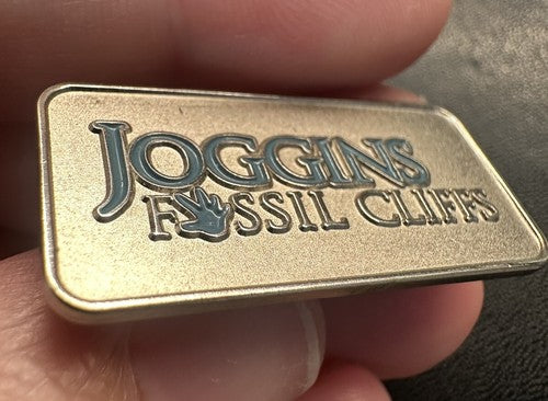 Very Nice Joggins Fossil Cliffs CANADA Nova Scotia Vintage Tack Pin