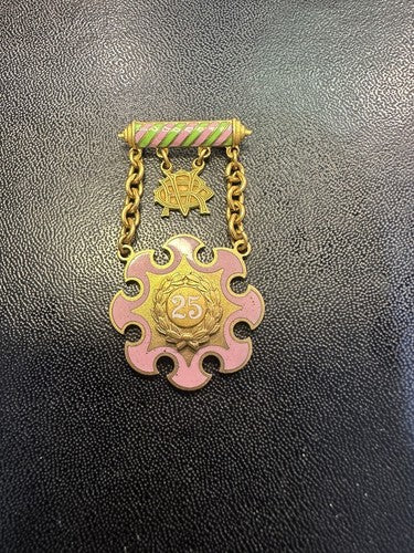 Vintage Gold Filled Odd Fellows Daughters Of Rebekah Enamel Pin, New York 25 yr