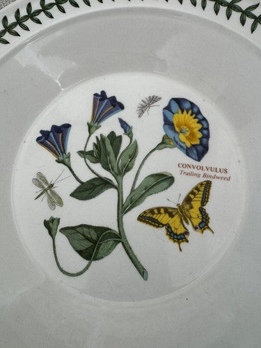 Portmeirion Botanic Garden Porcelain 8.5” Rim Soup/Pasta Bowls Set of 2
