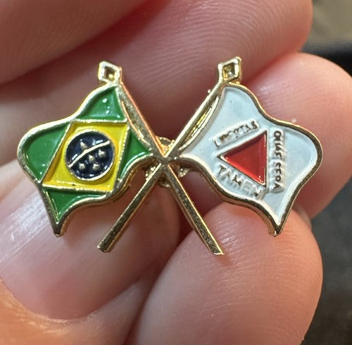 MINAS GERAIS Brazil State Brasil Flag Metal Badge Pin