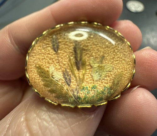 VTG Domed Brooch Dried Flowers Bubble Cameo Shaped