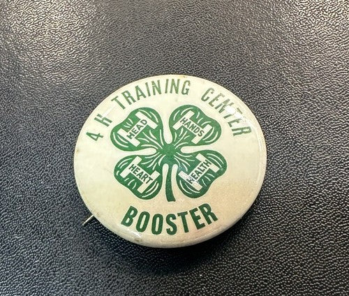 RARE 4H 4-H TRAINING CENTER BOOSTER BADGE PIN HEAD HANDS HEALTH HEART OLD