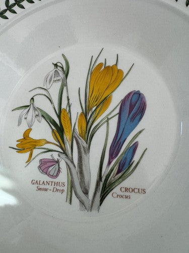 Portmeirion Botanic Garden Porcelain 8.5” Rim Soup/Pasta Bowls Set of 2