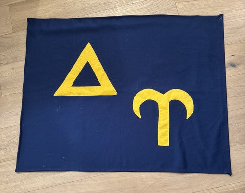 VINTAGE RARE ORIGINAL DELTA UPSILON FRATERNITY FLAG 37” x 29”