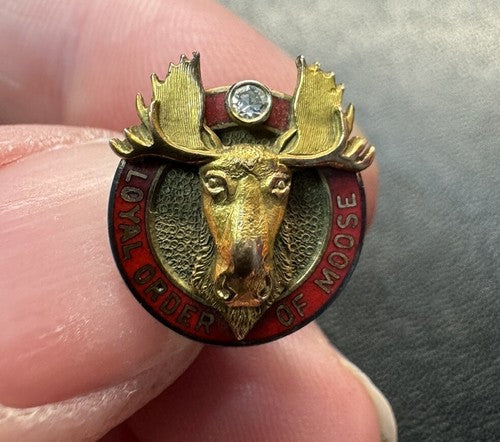 Antique 10k Yellow Gold LOYAL ORDER OF MOOSE PIN Gordon Miller Diamond Detail