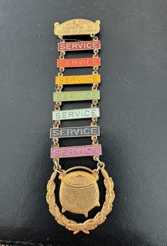 Masonic Order of the Rainbow for Girls Merit Service Badge Pot of Gold Badge Pin