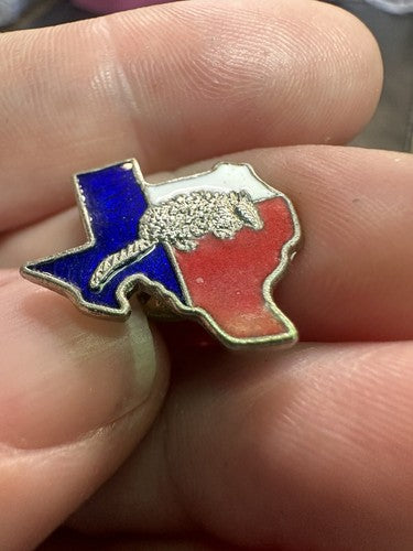 Armadillo TEXAS Flag Enamel Hat or Lapel Pin