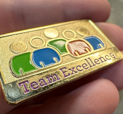 Wells Fargo Employee Lapel Pin - TEAM EXCELLENCE - NOS