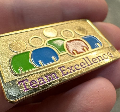 Wells Fargo Employee Lapel Pin - TEAM EXCELLENCE - NOS