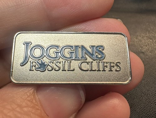 Very Nice Joggins Fossil Cliffs CANADA Nova Scotia Vintage Tack Pin