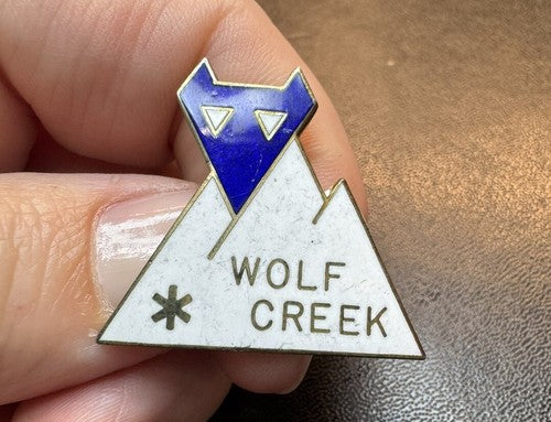 VINTAGE WOLF CREEK COLORADO ENAMEL GOLD TONE SKI PIN