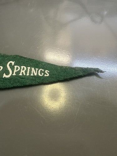 Silver Springs Florida 1940’s Silver Springs Pennant 8.5x4 Water Scene Pennant