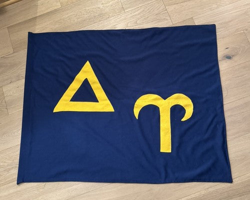 VINTAGE RARE ORIGINAL DELTA UPSILON FRATERNITY FLAG 37” x 29”