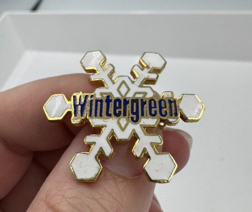 Wintergreen Ski Resort Virgina White Blue Snowflake Ski Pin